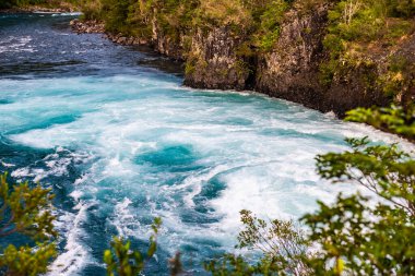 Petrohue Nehri Şili Andean Geçidi. Yüksek kalite fotoğraf