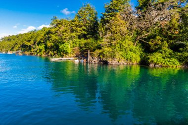 Petrohue Nehri Şili Andean Geçidi. Yüksek kalite fotoğraf