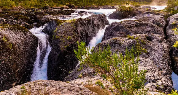 Petrohue Nehri Şili Andean Geçidi. Yüksek kalite fotoğraf