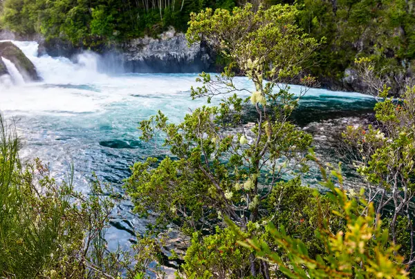 Petrohue Nehri Şili Andean Geçidi. Yüksek kalite fotoğraf