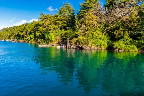 Petrohue Nehri Şili Andean Geçidi. Yüksek kalite fotoğraf