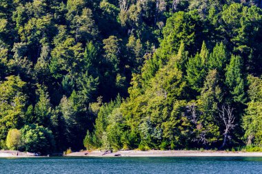 Petrohue limanından Şili Andean Geçidi 'ne yelken açan Todos los Santos Gölü. Yüksek kalite fotoğraf
