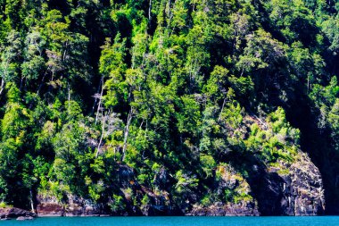 Petrohue limanından Şili Andean Geçidi 'ne yelken açan Todos los Santos Gölü. Yüksek kalite fotoğraf