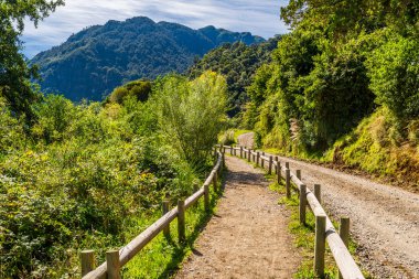 Todos los Santos Gölü 'nü, Peulla' yı, Şili 'yi ve Andean Geçidi' ni geçerek. Yüksek kalite fotoğraf