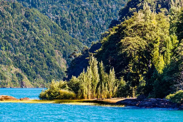 Πλοήγηση Στη Λίμνη Της Τόδος Los Santos Peulla Χιλή Πέρασμα — Φωτογραφία Αρχείου