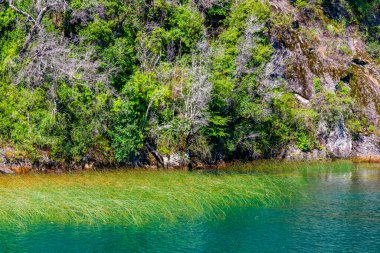 Todos los Santos Gölü 'nü, Peulla' yı, Şili 'yi ve Andean Geçidi' ni geçerek. Yüksek kalite fotoğraf