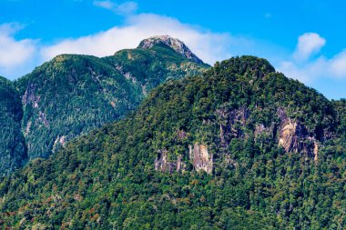 Muhteşem Mallorca adası, Balear Adaları, İspanya. Yüksek kalite fotoğraf