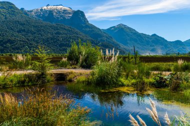 Peulla 'ya, Şili' ye, And Geçidi 'ne gidiyoruz. Yüksek kalite fotoğraf