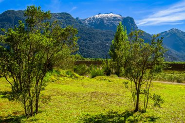 Peulla 'ya, Şili' ye, And Geçidi 'ne gidiyoruz. Yüksek kalite fotoğraf