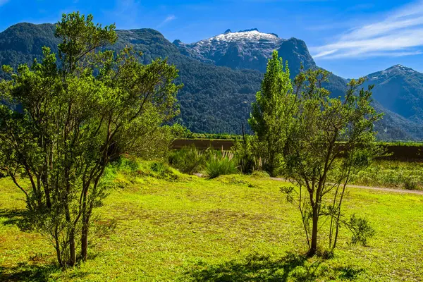 Peulla 'ya, Şili' ye, And Geçidi 'ne gidiyoruz. Yüksek kalite fotoğraf