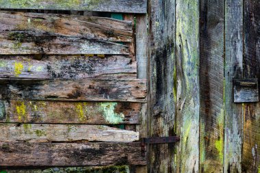 Şili 'deki Puerto Varas' ın teneke dükkanı. Yüksek kalite fotoğraf