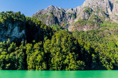 Güzel Frias Gölü, Arjantin, And Geçidi. Yüksek kalite fotoğraf