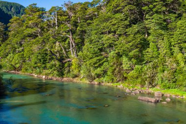 Güzel Frias Gölü, Arjantin, And Geçidi. Yüksek kalite fotoğraf
