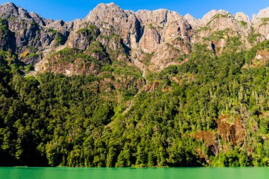 Güzel Frias Gölü, Arjantin, And Geçidi. Yüksek kalite fotoğraf