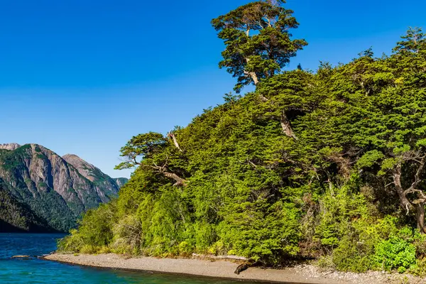 Krásné Jezero Frias Argentina Andský Přechod Kvalitní Fotografie — Stock fotografie