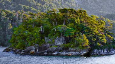 Gün batımında Nahuel Huapi 'ye yelken açmak, Patagonya, Arjantin. Yüksek kalite fotoğraf