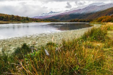 Tierra del Fuego Ulusal Parkı, Patagonya, Arjantin. Yüksek kalite fotoğraf