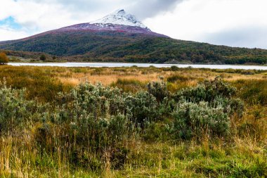 Tierra del Fuego Ulusal Parkı, Patagonya, Arjantin. Yüksek kalite fotoğraf