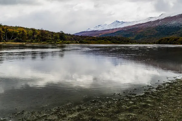 Nationaal Park Tierra Del Fuego Patagonië Argentinië Hoge Kwaliteit Foto — Stockfoto