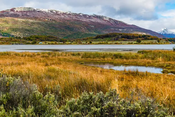 Parque Nacional Tierra Del Fuego Patagônia Argentina Foto Alta Qualidade — Fotografia de Stock