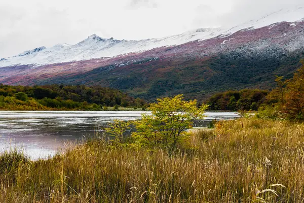 Tierra Del Fuego National Park Patagonia Argentina High Quality Photo — Stock Photo, Image