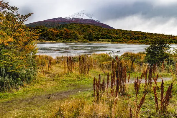 Εθνικό Πάρκο Tierra Del Fuego Παταγονία Αργεντινή Υψηλής Ποιότητας Φωτογραφία — Φωτογραφία Αρχείου
