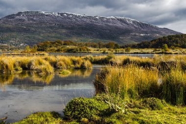 Tierra del Fuego Ulusal Parkı, Patagonya, Arjantin. Yüksek kalite fotoğraf