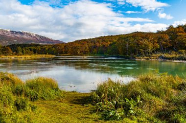 Tierra del Fuego Ulusal Parkı, Patagonya, Arjantin. Yüksek kalite fotoğraf