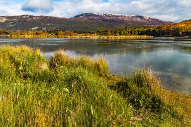 Tierra del Fuego Ulusal Parkı, Patagonya, Arjantin. Yüksek kalite fotoğraf