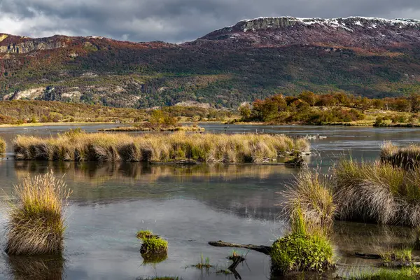 Nationaal Park Tierra Del Fuego Patagonië Argentinië Hoge Kwaliteit Foto — Stockfoto