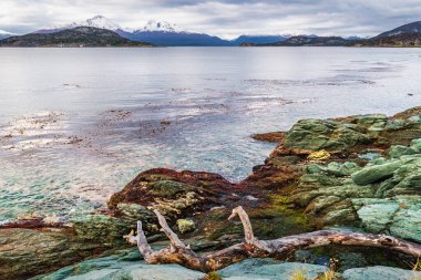 Bahia Ensenada Zaratiegui, Tierra del Fuego Ulusal Parkı, Patagonya, Arjantin. Yüksek kalite fotoğraf