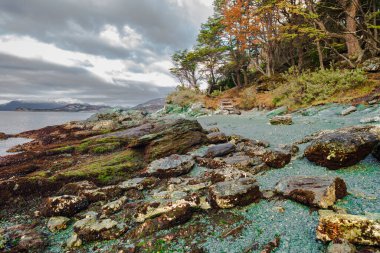 Bahia Ensenada Zaratiegui, Tierra del Fuego Ulusal Parkı, Patagonya, Arjantin. Yüksek kalite fotoğraf