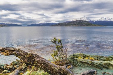 Bahia Ensenada Zaratiegui, Tierra del Fuego Ulusal Parkı, Patagonya, Arjantin. Yüksek kalite fotoğraf