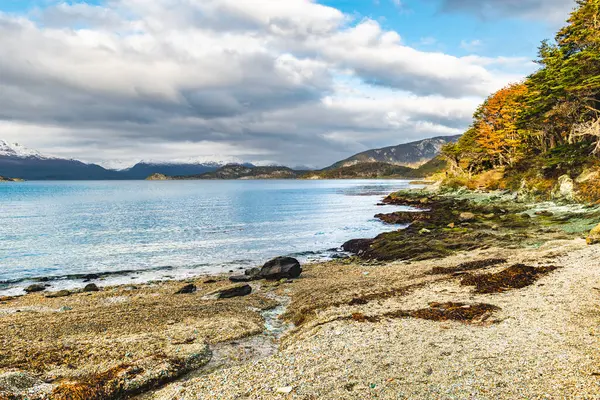 Bahia Ensenada Zaratiegui, Tierra del Fuego Ulusal Parkı, Patagonya, Arjantin. Yüksek kalite fotoğraf