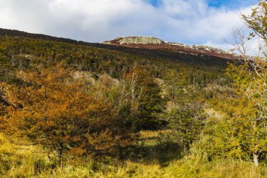 Bahia Ensenada Zaratiegui, Tierra del Fuego Ulusal Parkı, Patagonya, Arjantin. Yüksek kalite fotoğraf