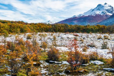 Tierra del Fuego Ulusal Parkı, Patagonya, Arjantin. Yüksek kalite fotoğraf