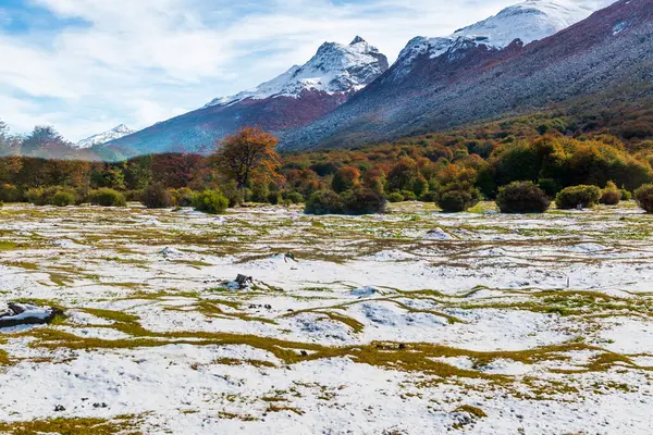 Tierra Del Fuego National Park Patagonia Argentina High Quality Photo — Stock Photo, Image