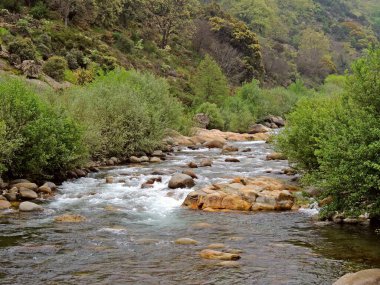 Candeleda, Avila, İspanya 'daki Garganta Santa Maria nehri boyunca yürüyoruz. Yüksek kalite fotoğraf