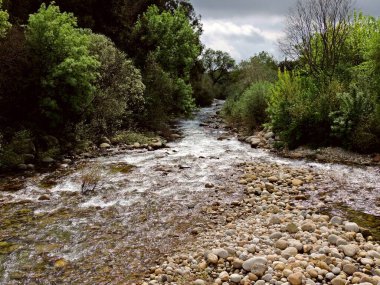 Candeleda, Avila, İspanya 'daki Garganta Santa Maria nehri boyunca yürüyoruz. Yüksek kalite fotoğraf