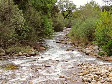 Candeleda, Avila, İspanya 'daki Garganta Santa Maria nehri boyunca yürüyoruz. Yüksek kalite fotoğraf