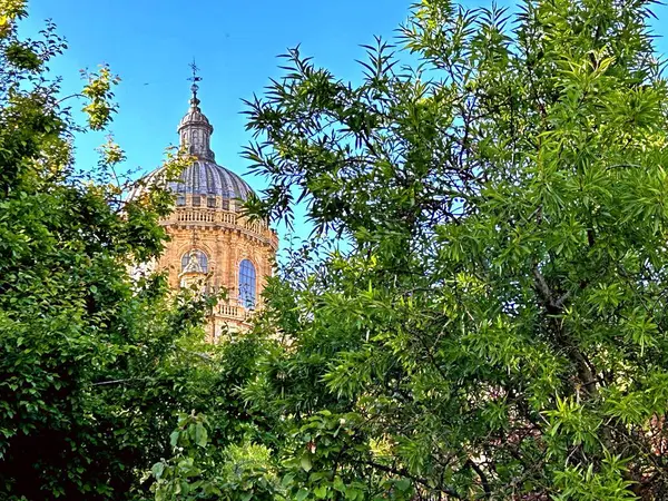 İspanya 'nın şaşırtıcı şehri Salamanca. Yüksek kalite fotoğraf