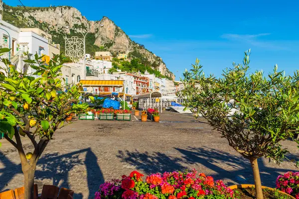 Wonderful Island Capri Amalfi Coast Bay Naples Italy High Quality — Stock Photo, Image