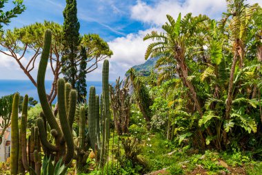 Muhteşem Capri Adası, İtalya. Yüksek kalite fotoğraf