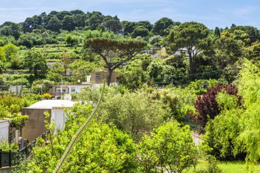 Muhteşem Capri Adası, İtalya. Yüksek kalite fotoğraf
