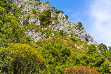 Muhteşem Capri Adası, Alamfi Sahili, Napoli Körfezi, İtalya. Yüksek kalite fotoğraf