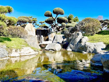 Buenos Aires, Arjantin 'in ortasında muhteşem bir Japon bahçesi. Yüksek kalite fotoğraf