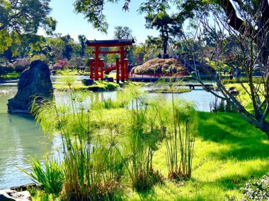 Buenos Aires, Arjantin 'in ortasında muhteşem bir Japon bahçesi. Yüksek kalite fotoğraf