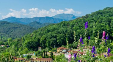 Castellfollit de la Roca, comarca de La Garrocha, Gerona, Katalonya, İspanya. Yüksek kalite fotoğraf