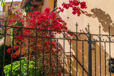 Güzel Begur kasabası, Costa Brava, Calalonia, Girona, İspanya 'nın bir mücevheri. Yüksek kalite fotoğraf