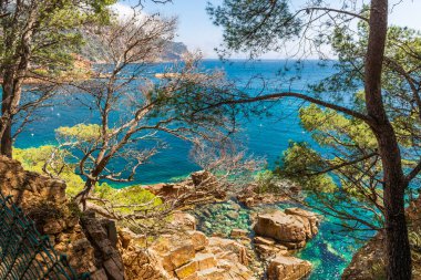 Cala de Aiguablava, Begur, Katalonya, İspanya. Yüksek kalite fotoğraf
